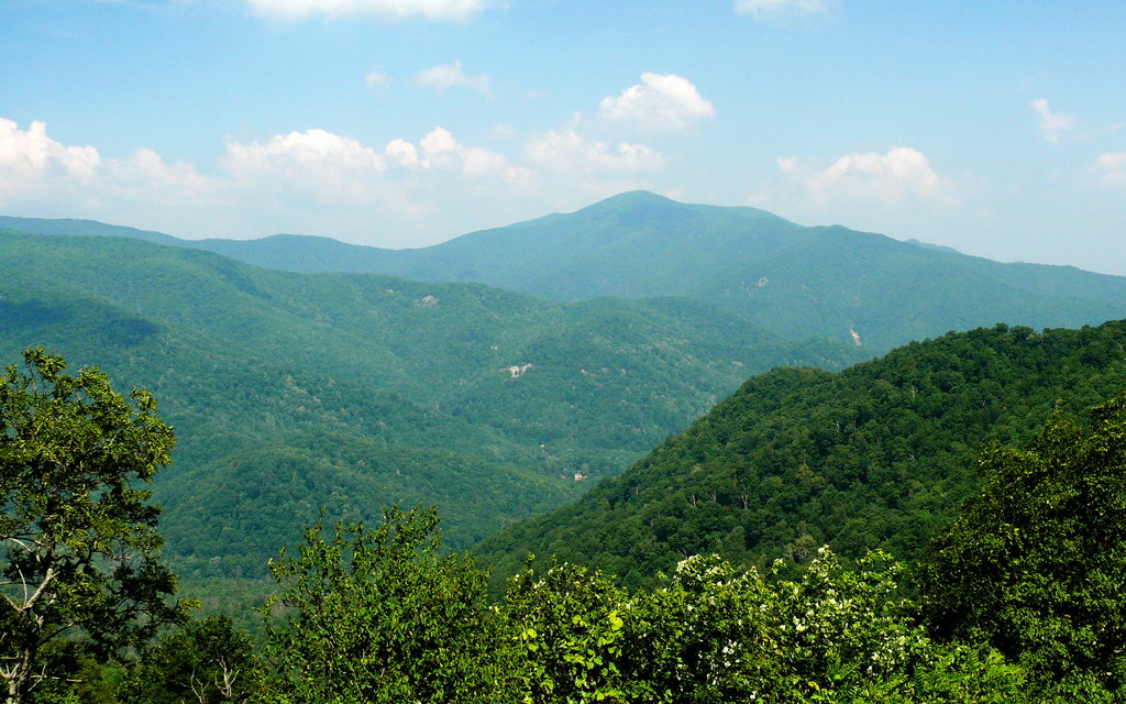 Photo №2 of Cold Mountain
