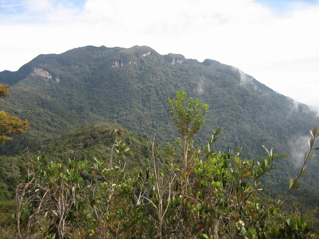 Photo №1 of Gunung Tahan