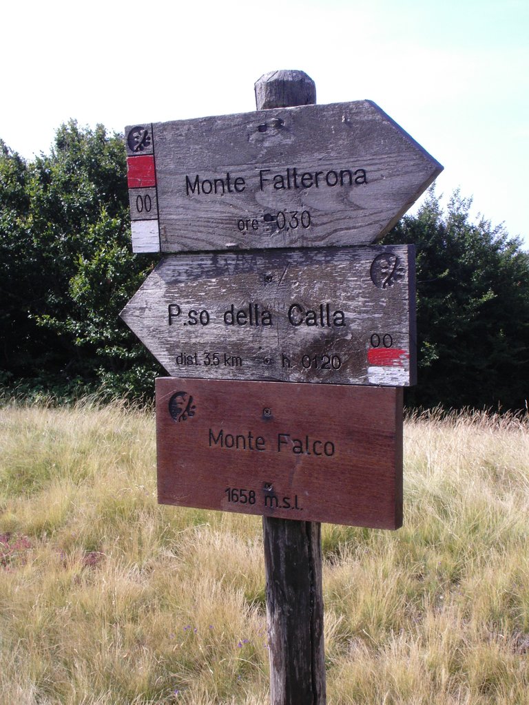 Photo №1 of Monte Falco
