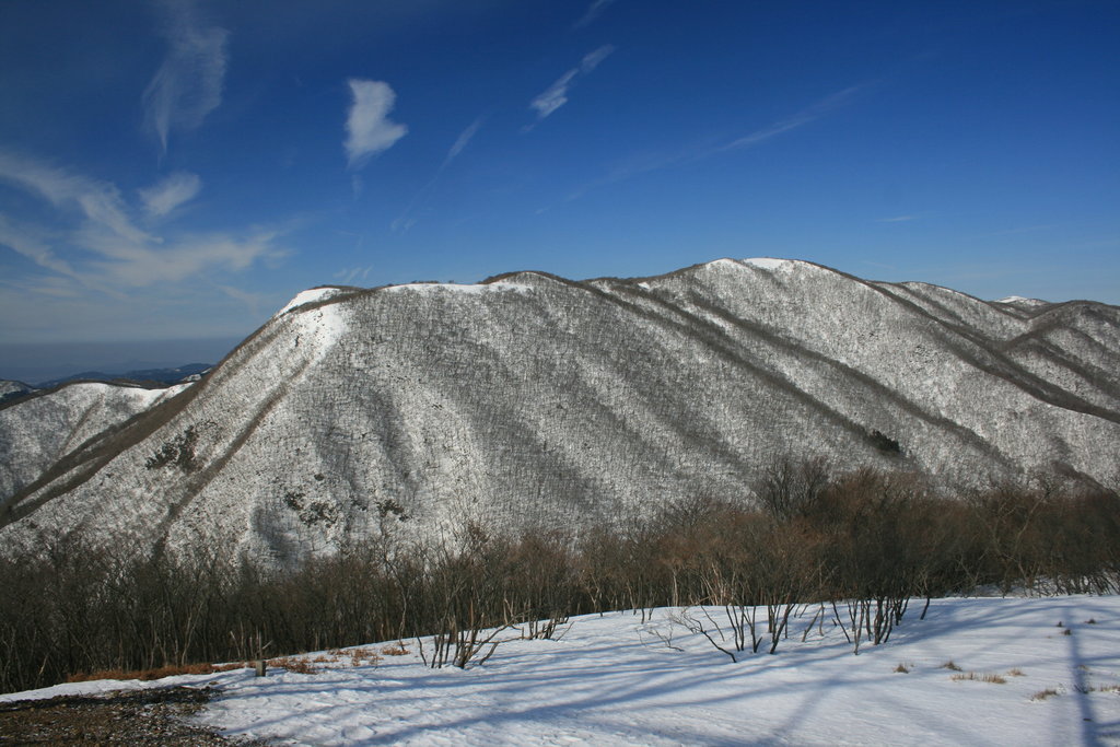 Photo №1 of Mt. Oike
