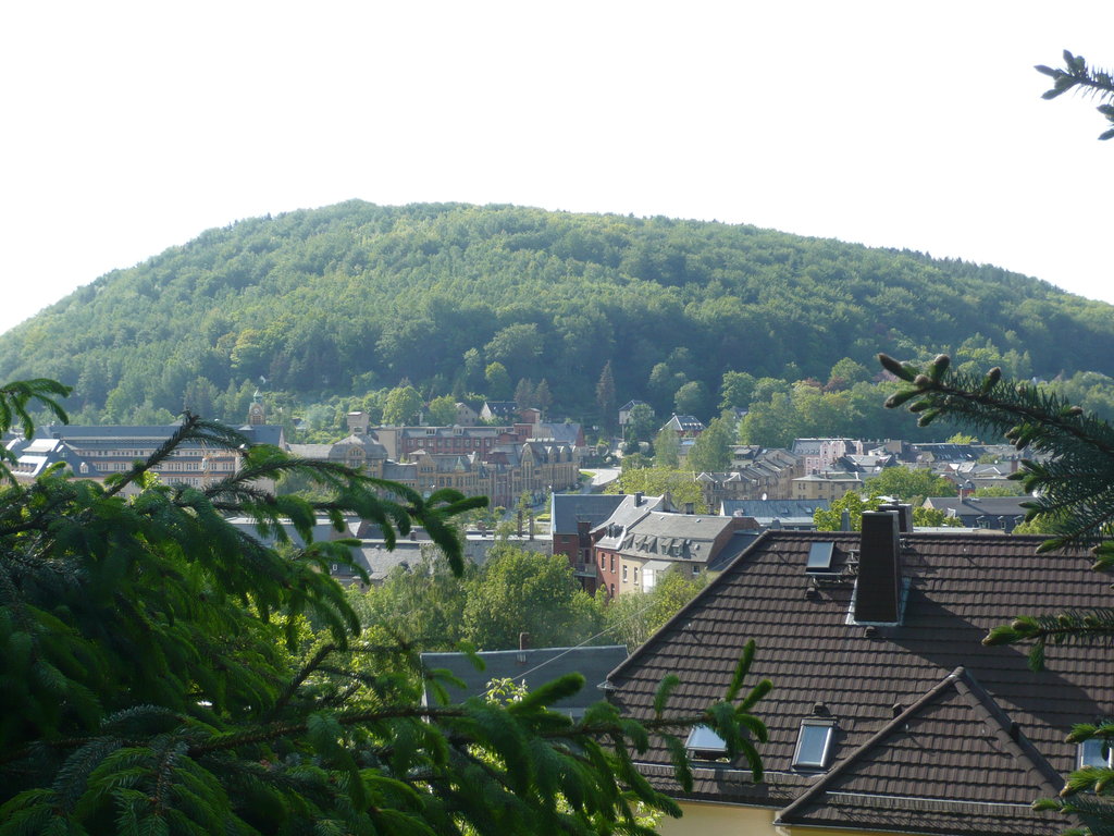 Photo №1 of Brünlasberg