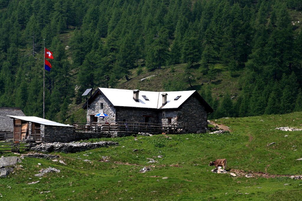 Photo №1 of Capanna Alpe Saléi