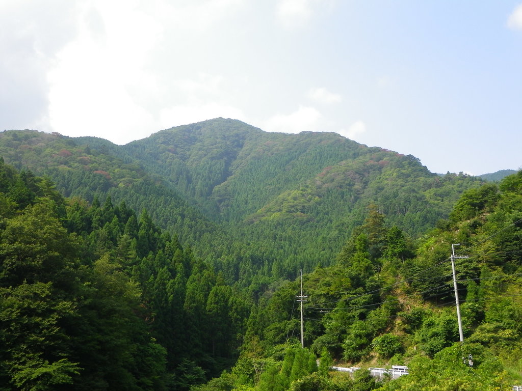 Photo №1 of Mt. Minago