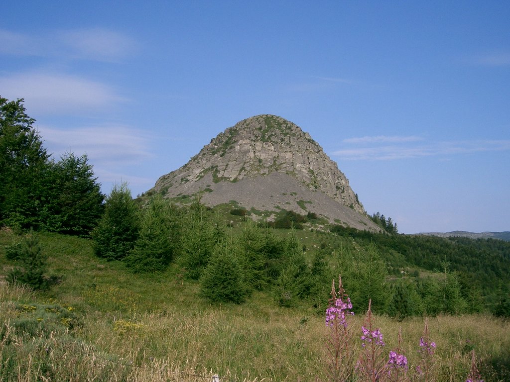 Photo №1 of Mont Gerbier de Jonc