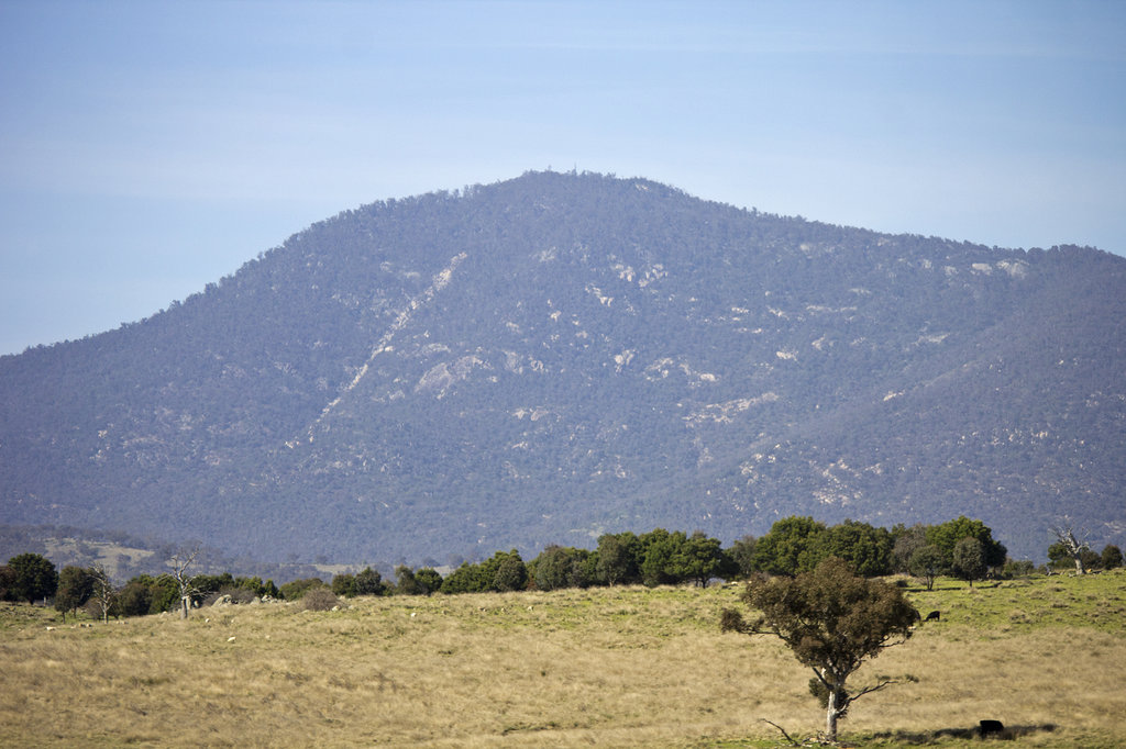 Photo №1 of Mount Tennent