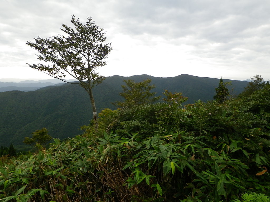 Photo №1 of Mt. Jippo