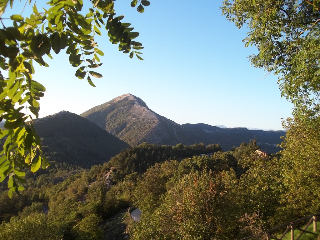 Photo №1 of Monte Cervia