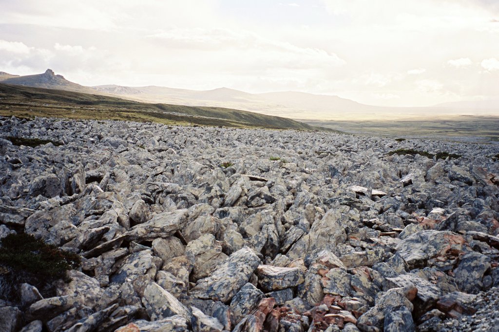 Falkland Islands Mountains