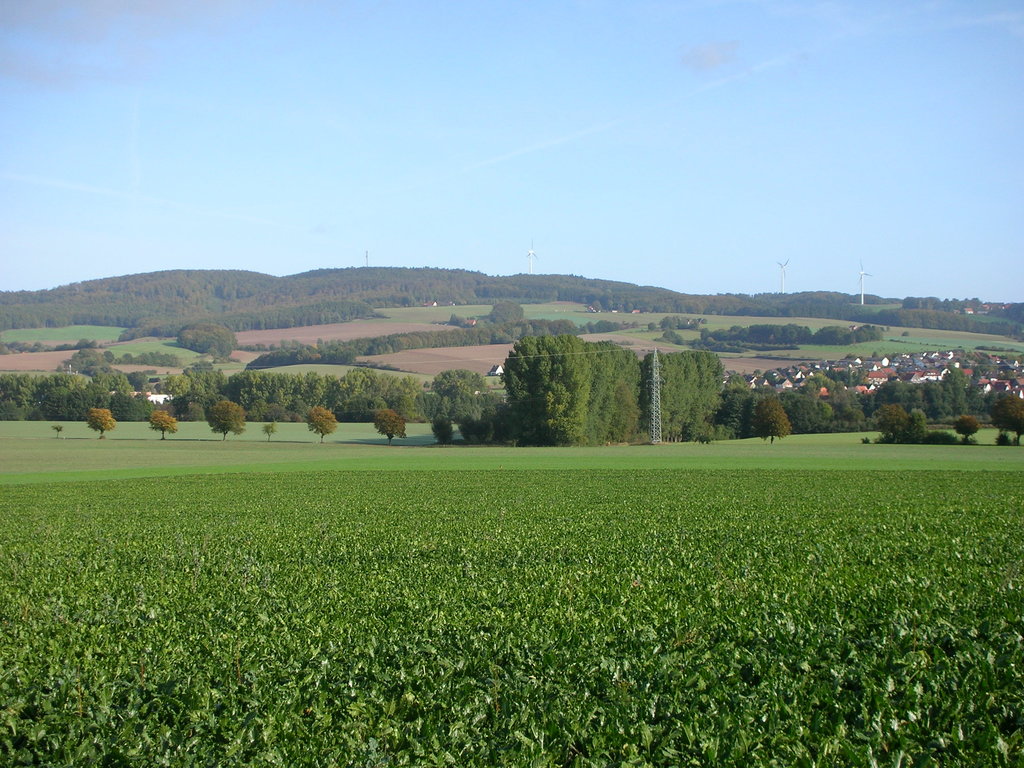 Photo №1 of Dörenberg