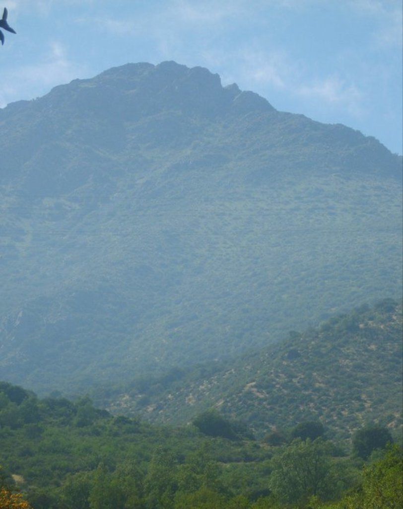 Photo №2 of Cerro La Cruz