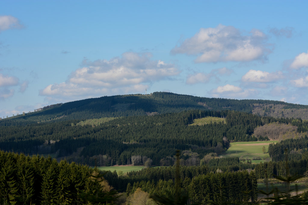 Photo №1 of Hoher Wald