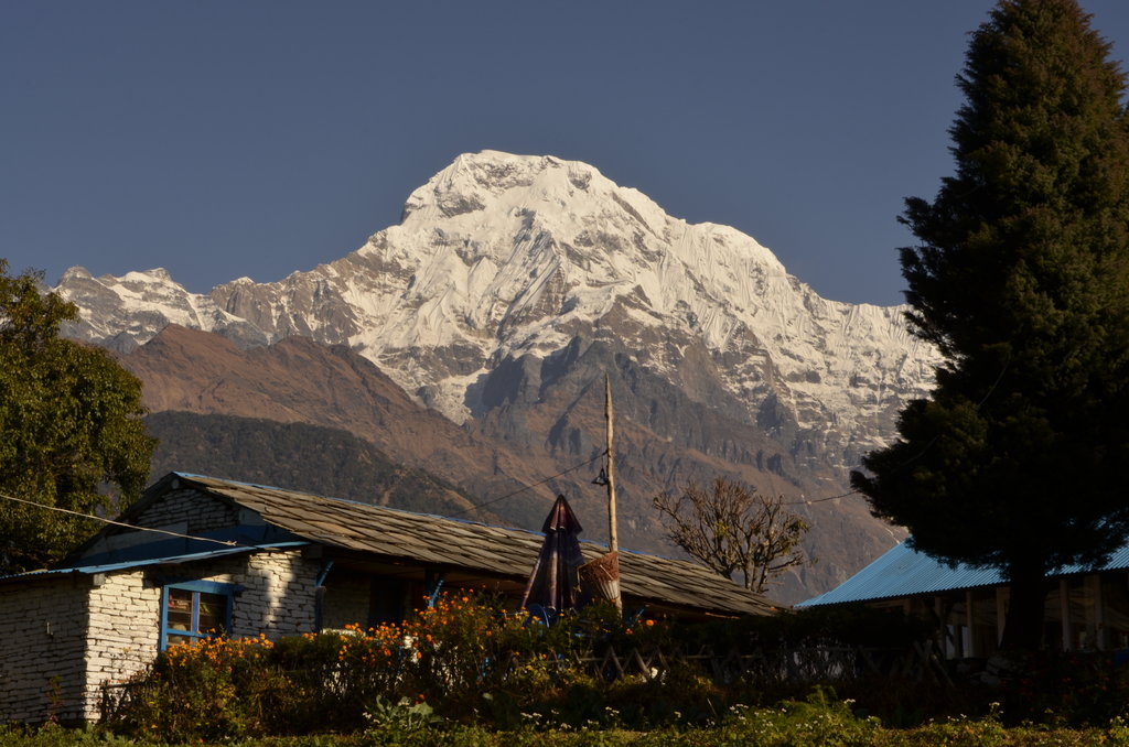 Photo №2 of Annapurna South