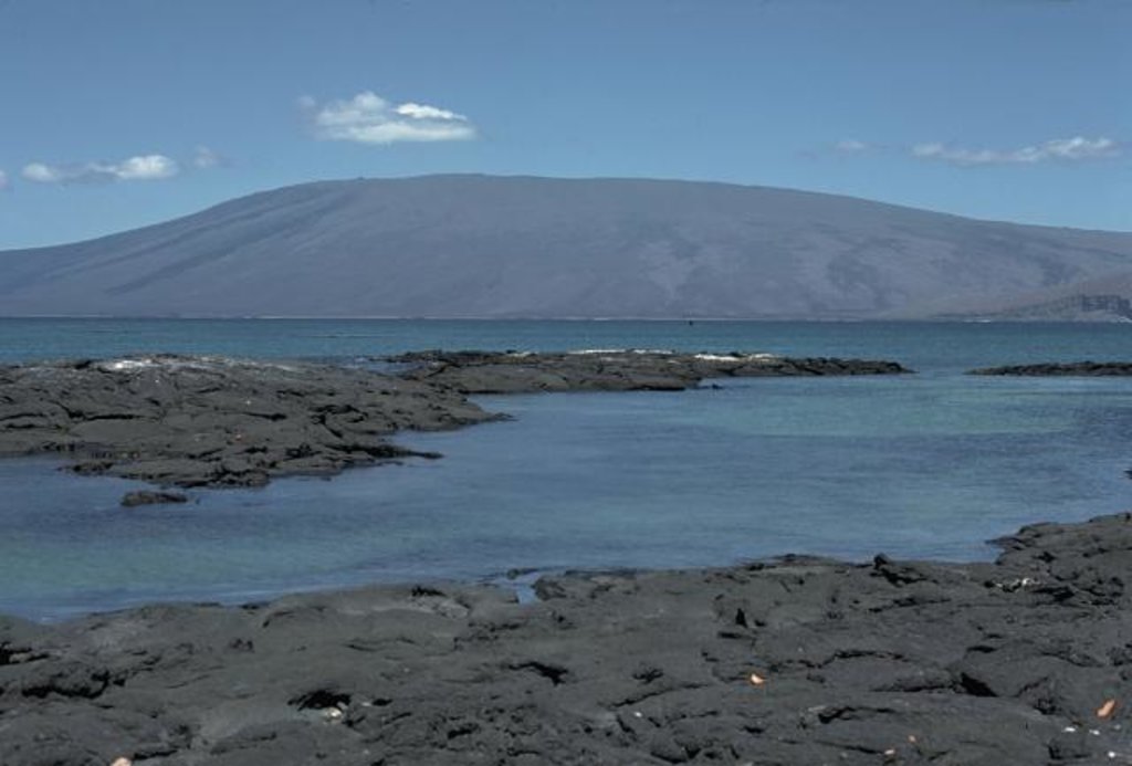 Photo №1 of Volcán Darwin