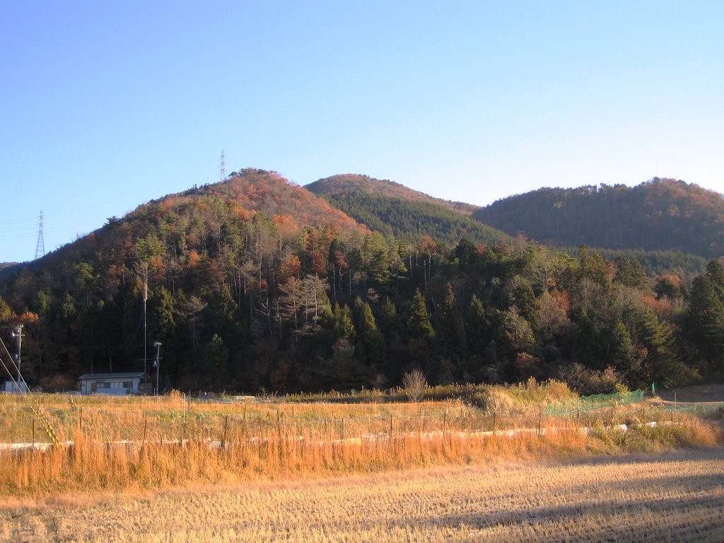 Photo №1 of Mt. Kenbi