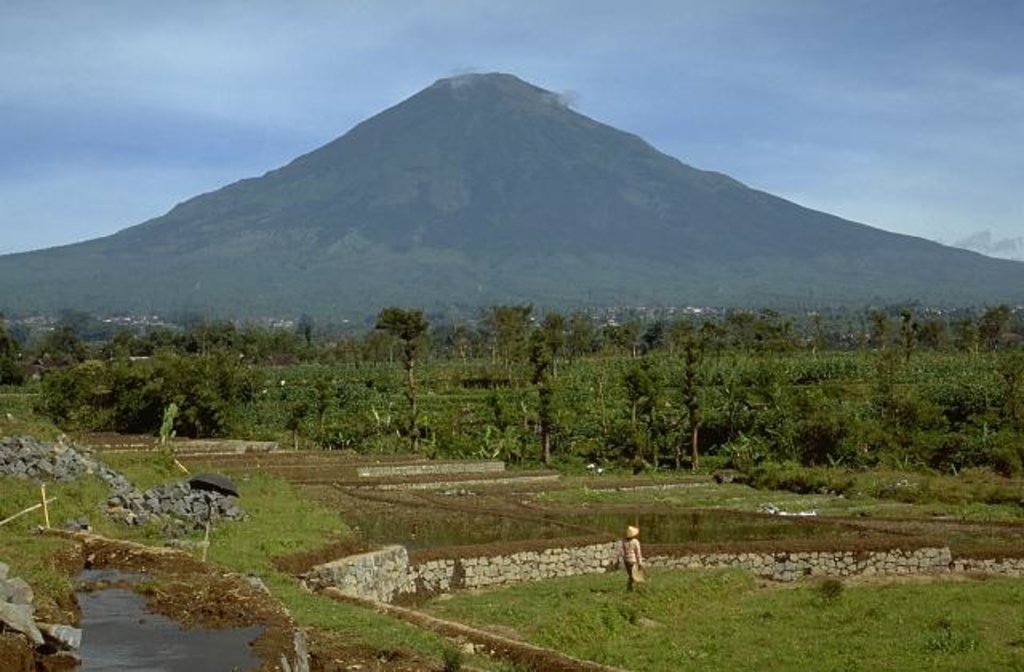 Photo №1 of Gunung Sindoro