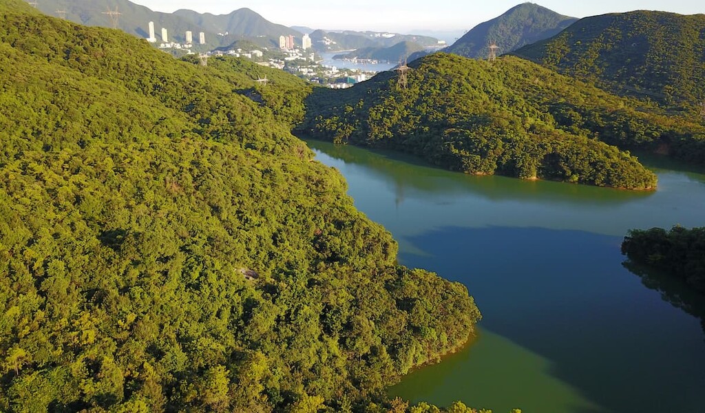 Aberdeen Country Park, Hong Kong