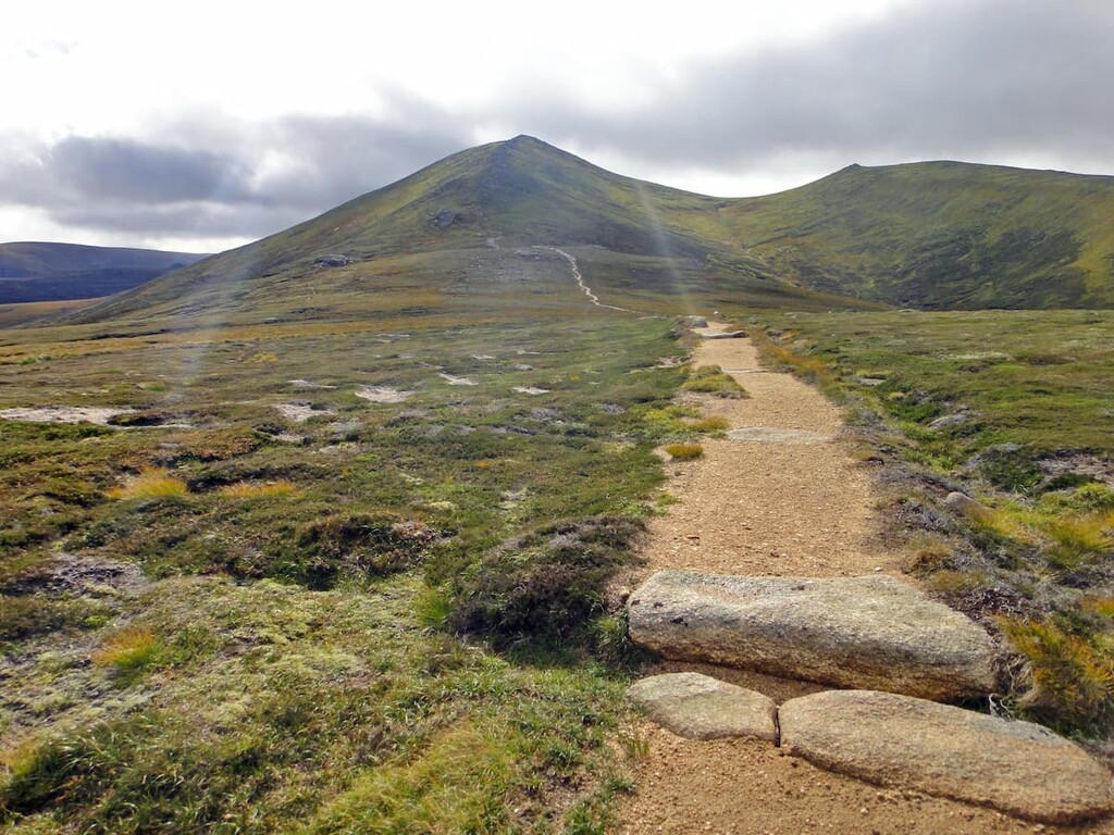 Bynack More, Abernethy National Nature Reserve, Scotland