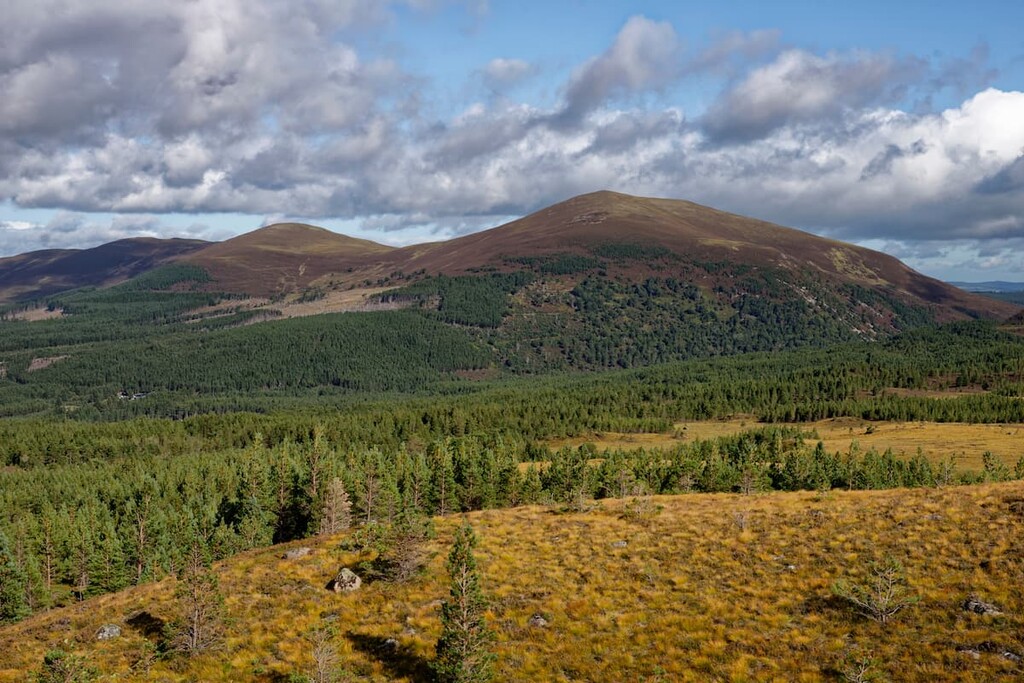 Meall a' Bhuachaille, Abernethy National Nature Reserve, Scotland