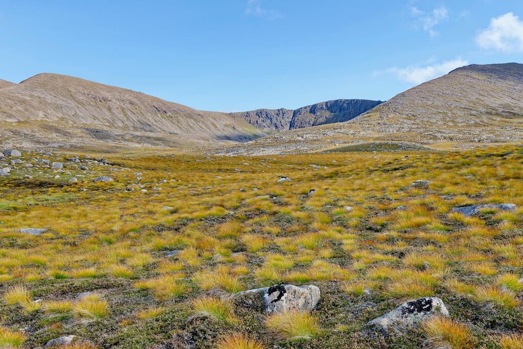Stob Coire an t-Sneachda, Abernethy National Nature Reserve, Scotland