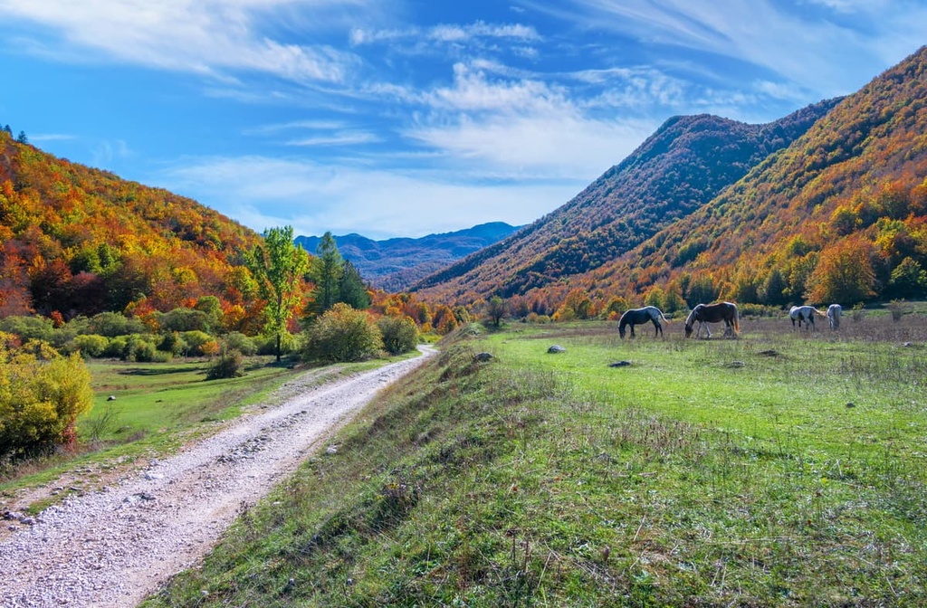  Val Fondillo, Abruzzo, Lazio and Molise National Park