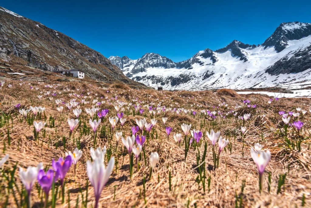 Adamello Regional Park, Italy