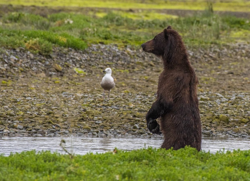Admiralty Island National Monument, Alaska