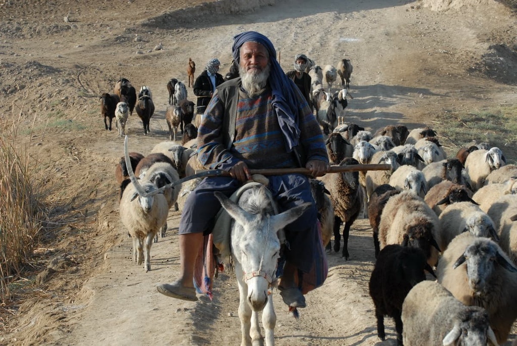 Afghanistan Mountains