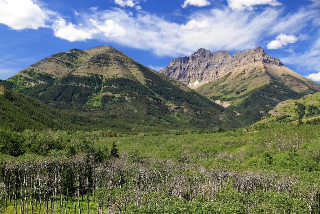 Akamina-Kishinena Provincial Park, British Columbia