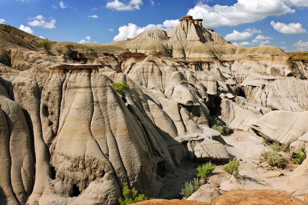 Dinosaur Provincial Park, Alberta, Canada