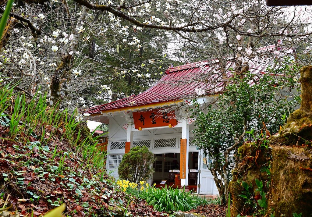 Ciyun Temple, Alishan National Forest Recreation Area, Taiwan