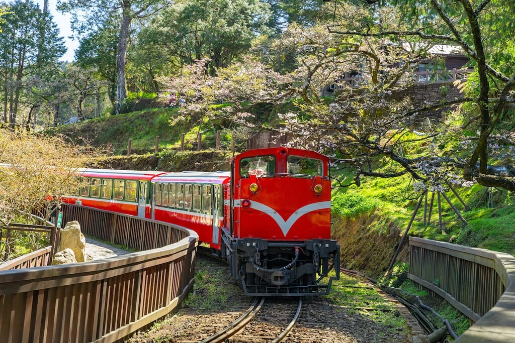 Railway, Tashan Major Wildlife Habitat, Alishan National Forest,Taiwan