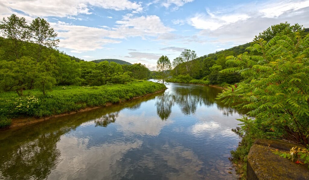 Tionesta Creek , Allegheny National Forest
