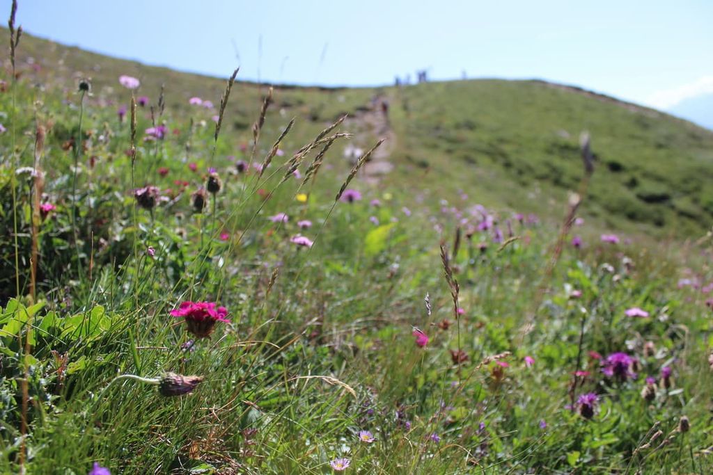 Alpe Veglia and Alpe Devero Natural Park, Italy