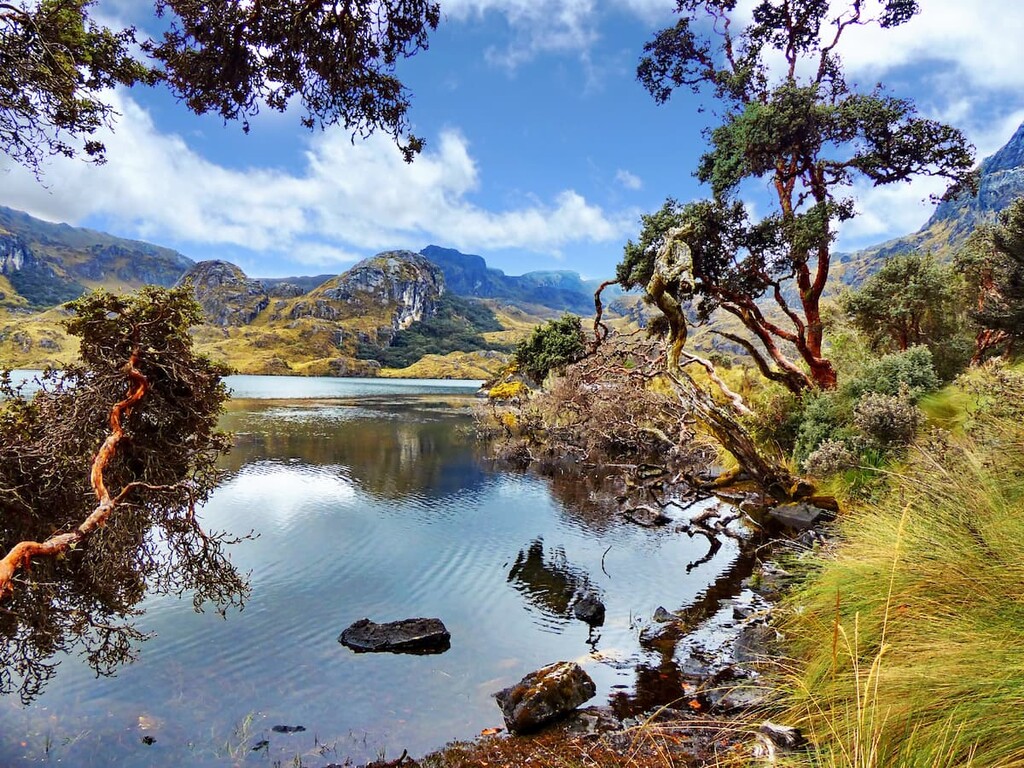 El Cajas National Park, Ecuador