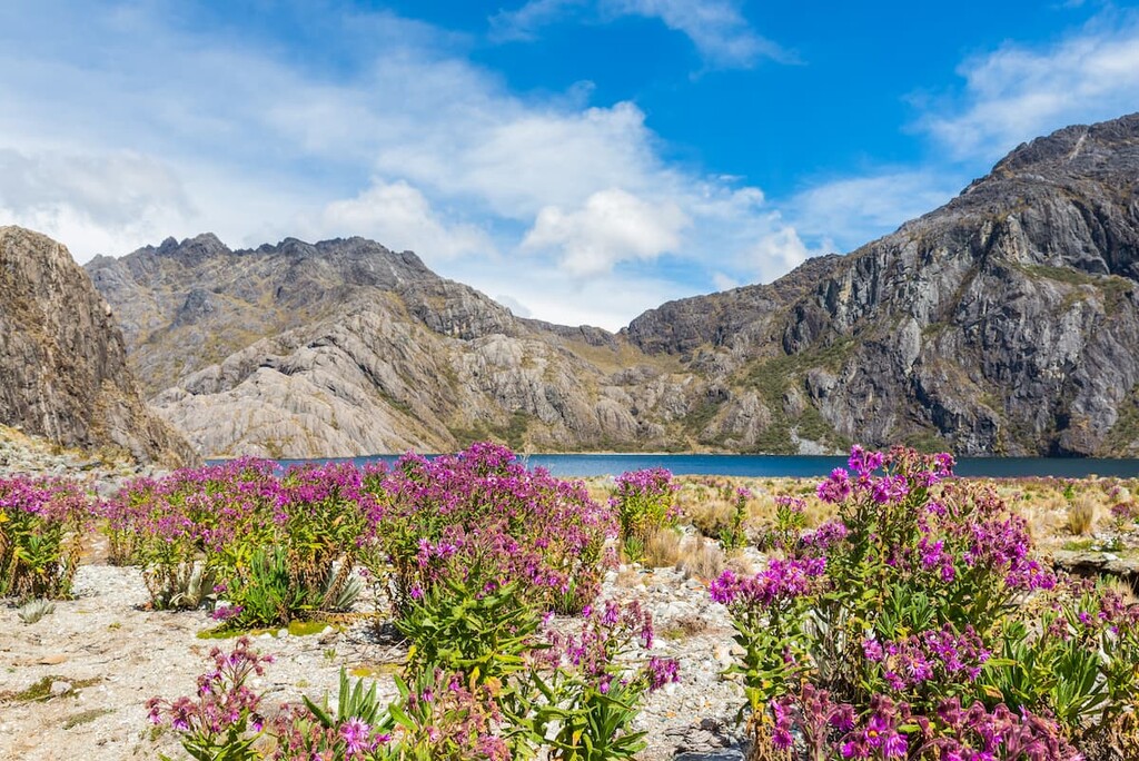 Sierra Nevada National Park, Venezuela