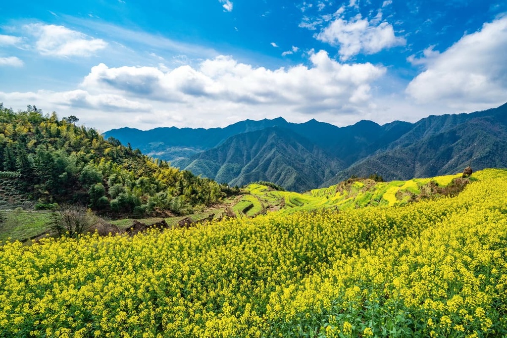 Baiji Mountains, Anhui, China