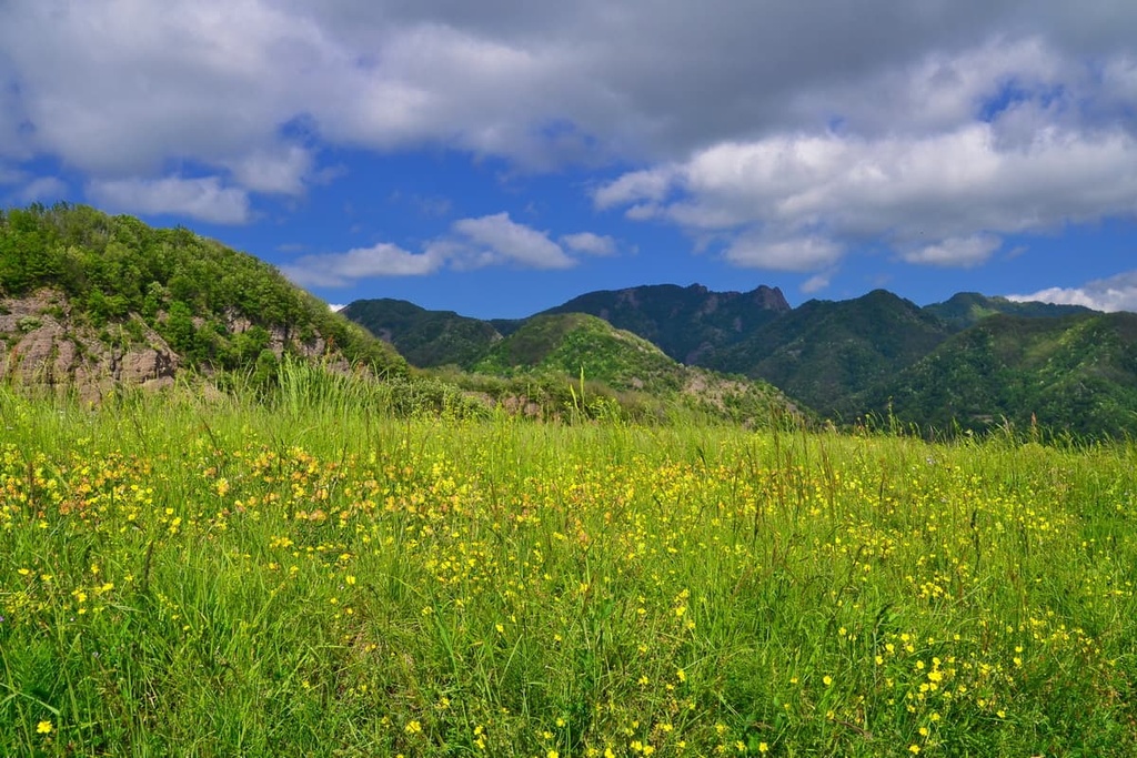 Antola Natural Regional Park, Italy
