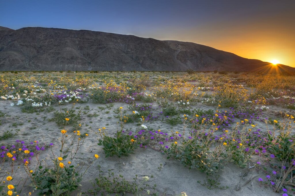 Anza Borrego Desert State Wilderness, California