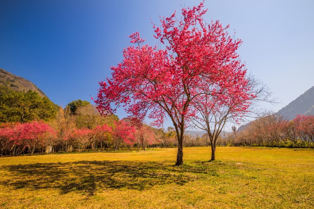 Aowanda National Forest Recreation Area, Taiwan