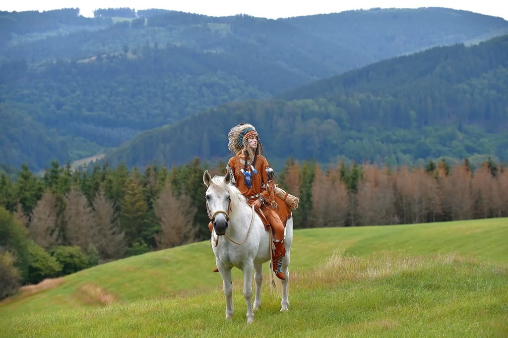  Apache-Sitgreaves National Forests, Arizona