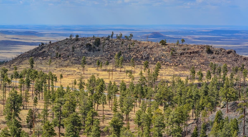  Apache-Sitgreaves National Forests, Arizona