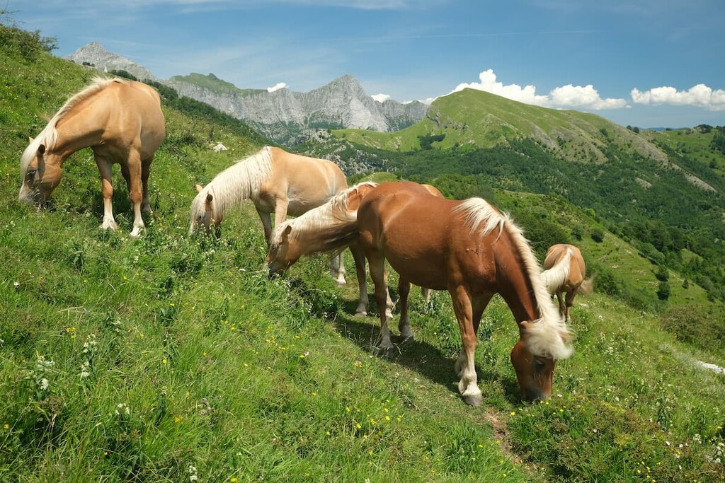 Regional Natural Park of the Apuan Alps, Italy