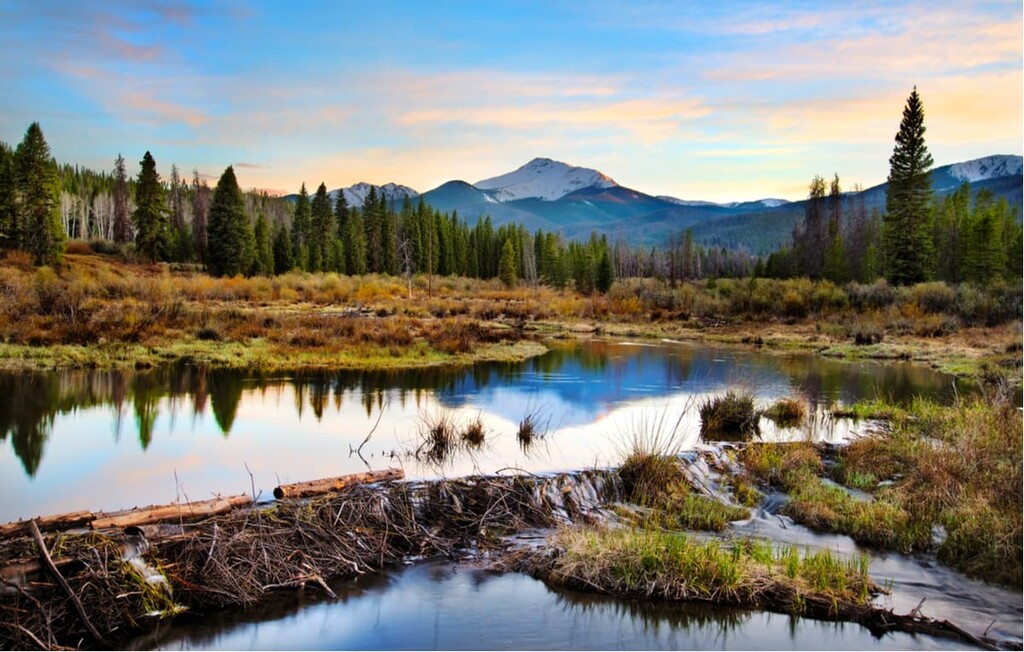 Arapaho National Forest