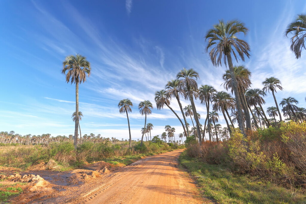 El Palmar National Park, Argentina