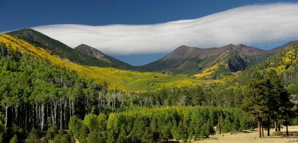 Kachina Peaks Wilderness, Arizona