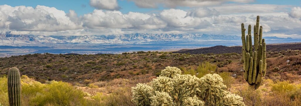 Sonoran Basin, Arizona