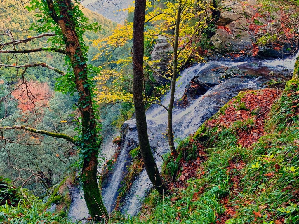 waterfall, Aspromonte National Park, Italy