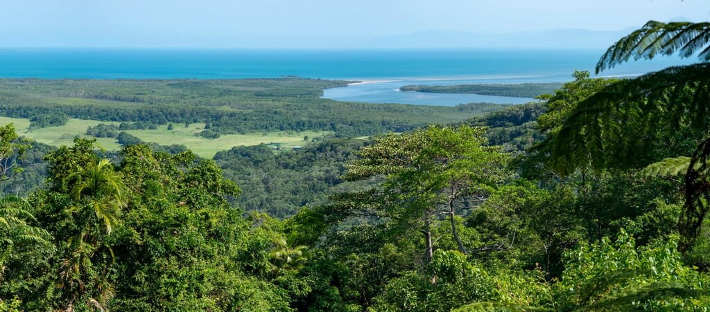 Daintree National Park, Australia
