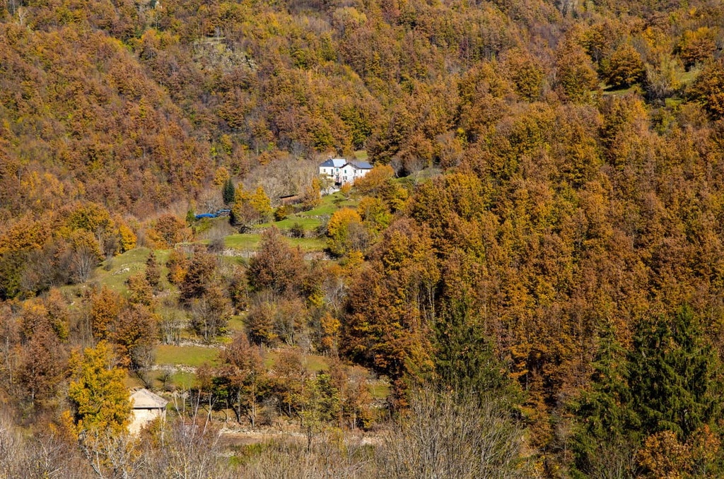 Aveto Natural Regional Park, Italy