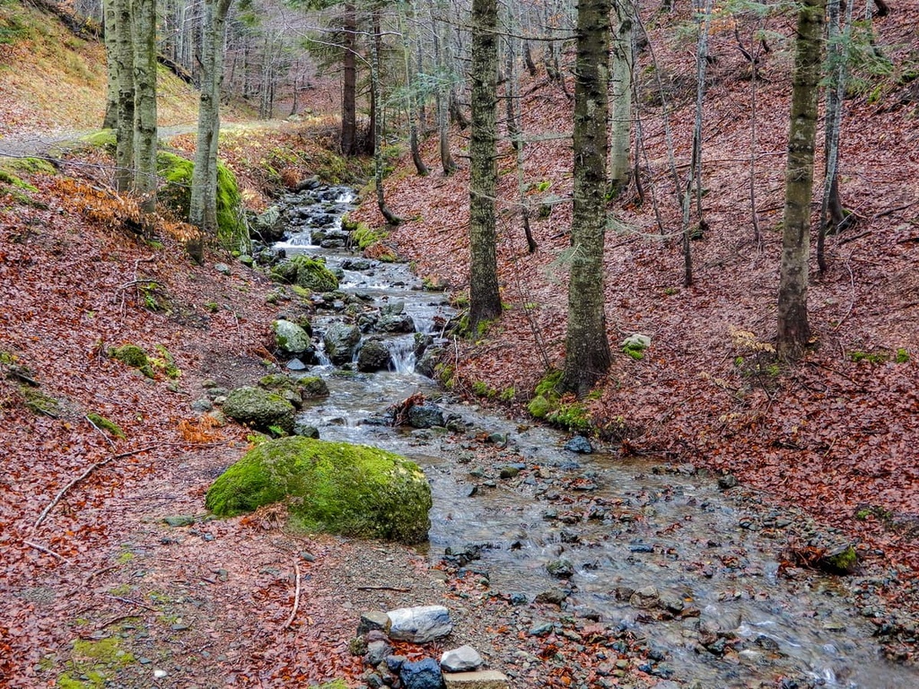 Aveto Natural Regional Park, Italy